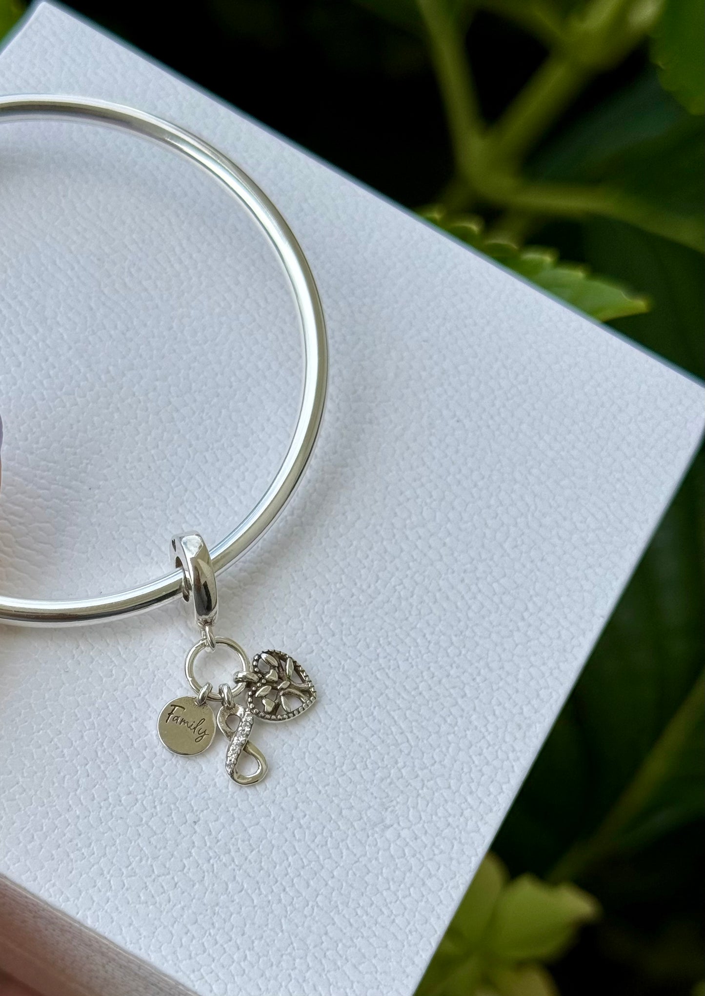 Charms familia pandora