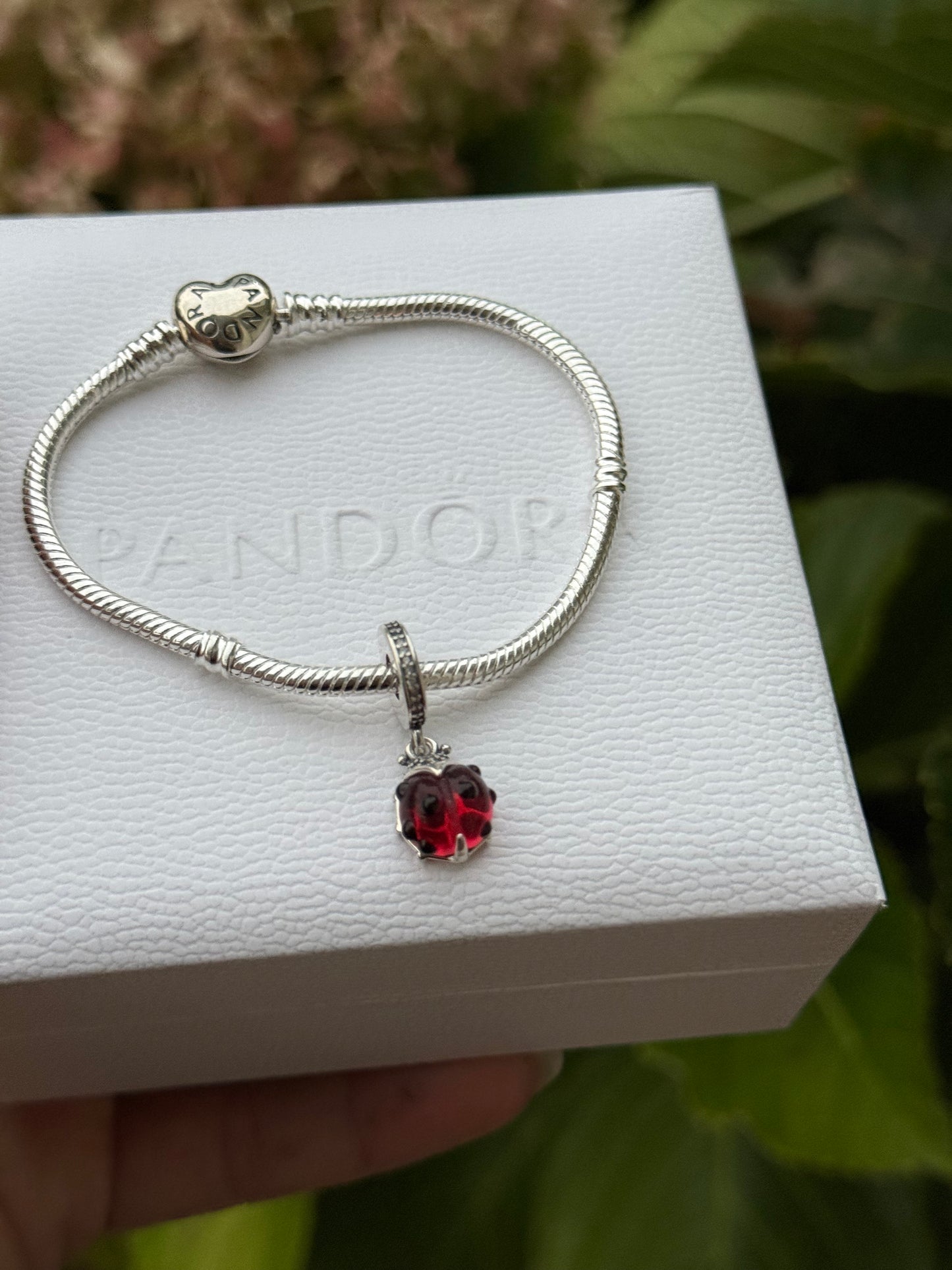 Charms San Antonio pandora