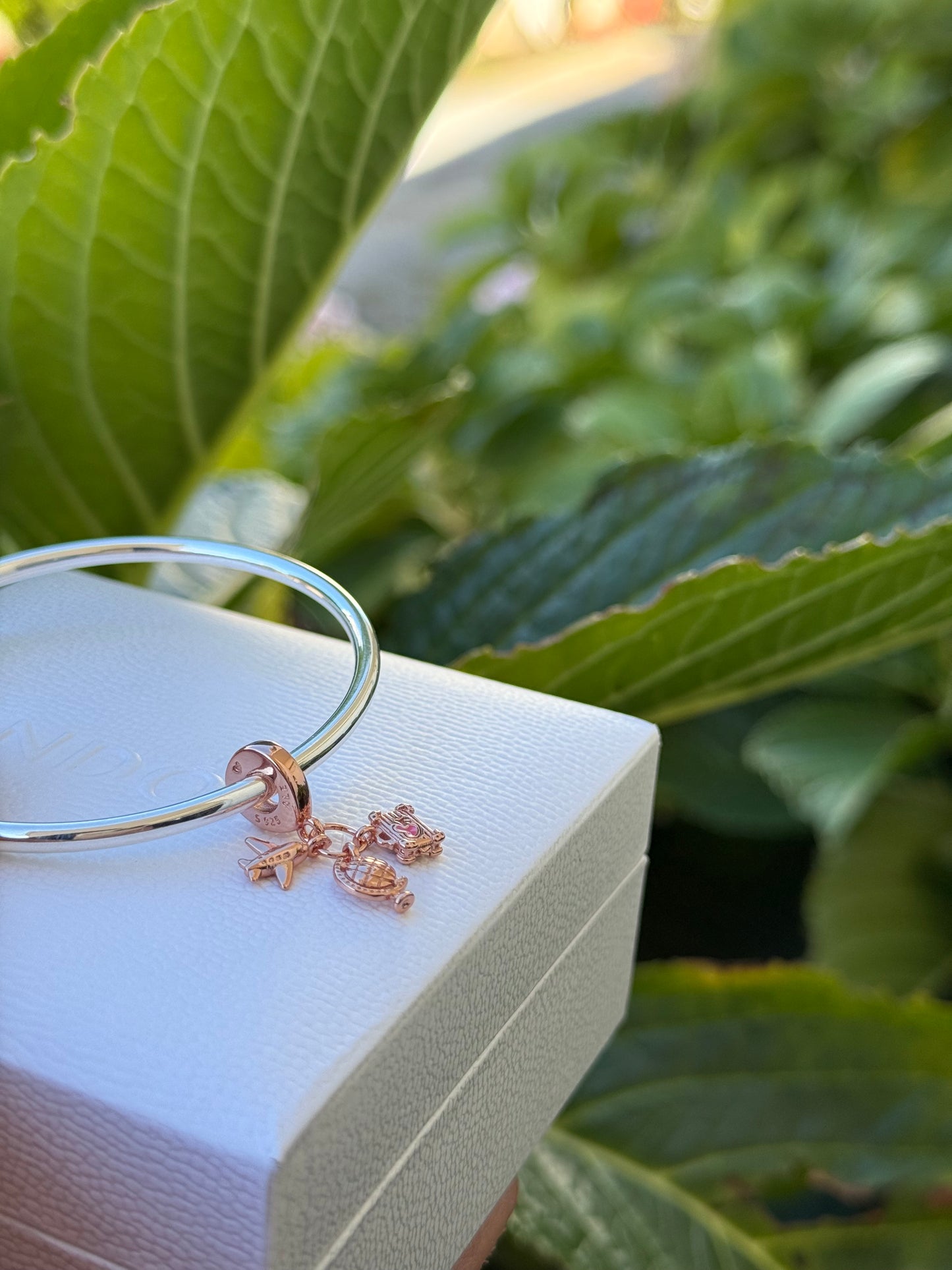 Charms viaje Pandora