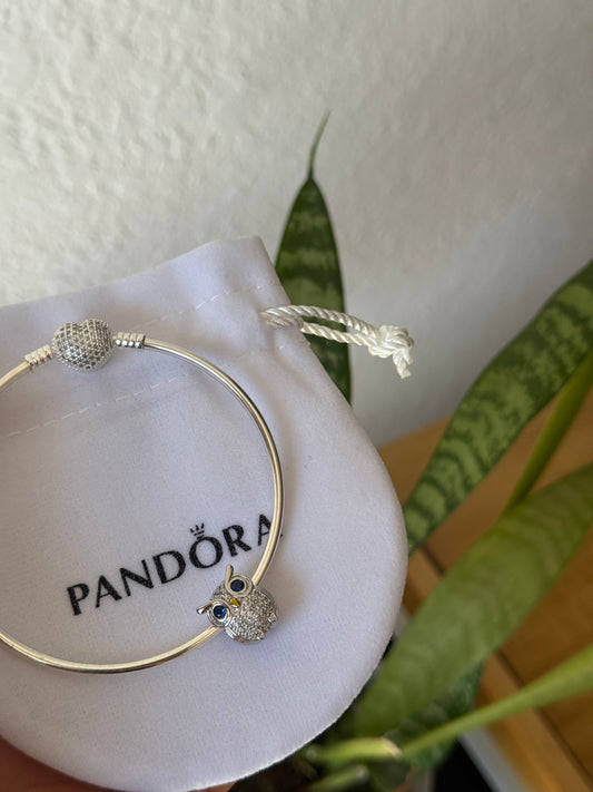 Charms búho plata 925