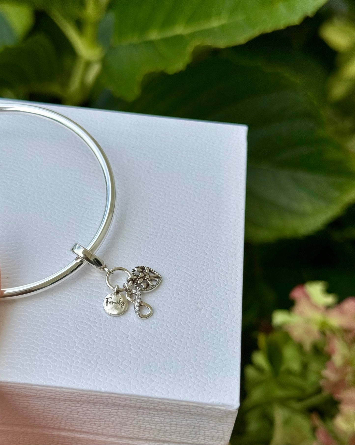 Charms familia pandora