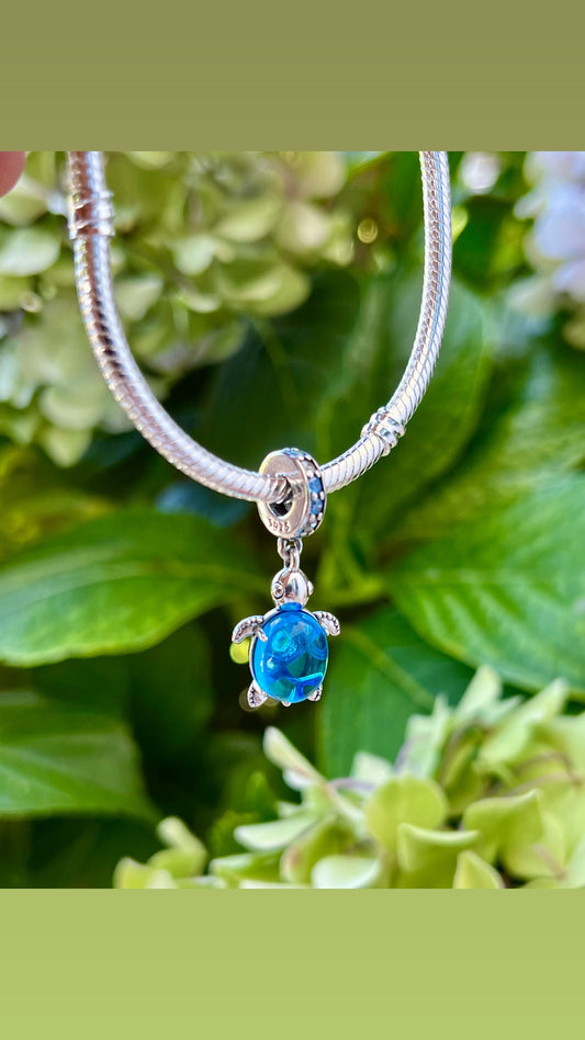 Charms tortuga