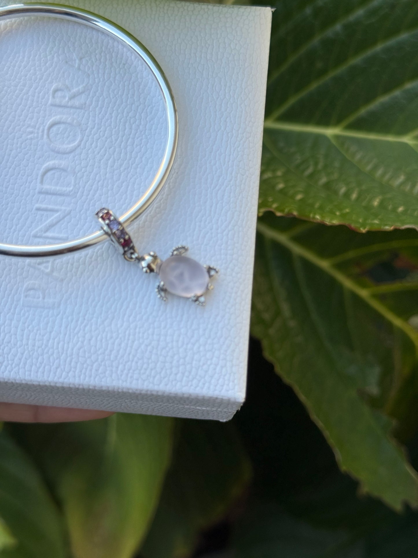 Charms pandora tortuga