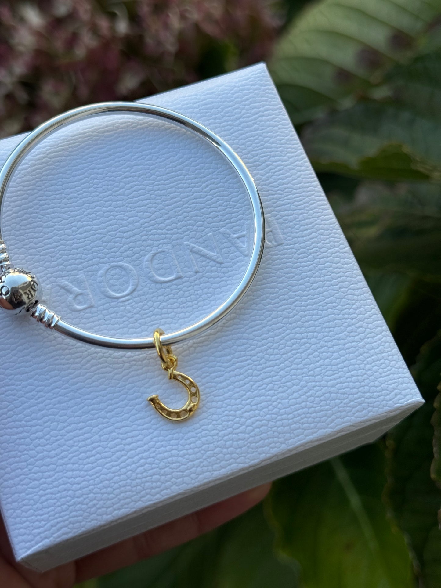 Charms herradura Pandora
